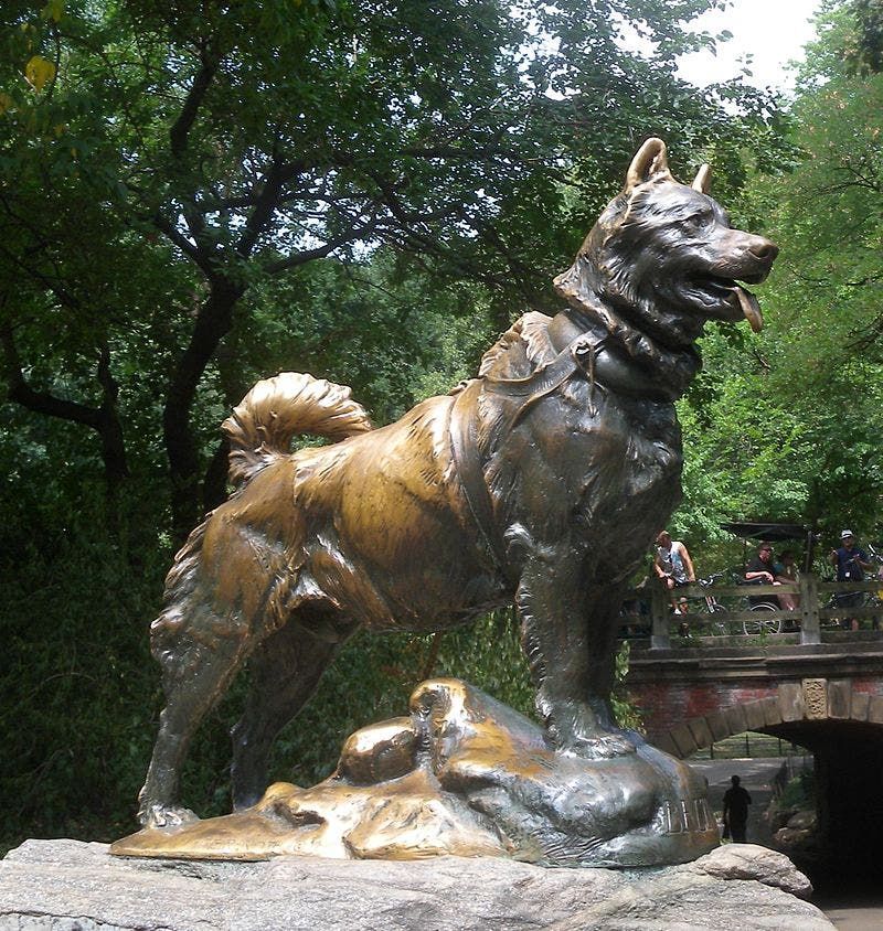 تمثال للكلب بالتو بسنترال بارك بنيويورك