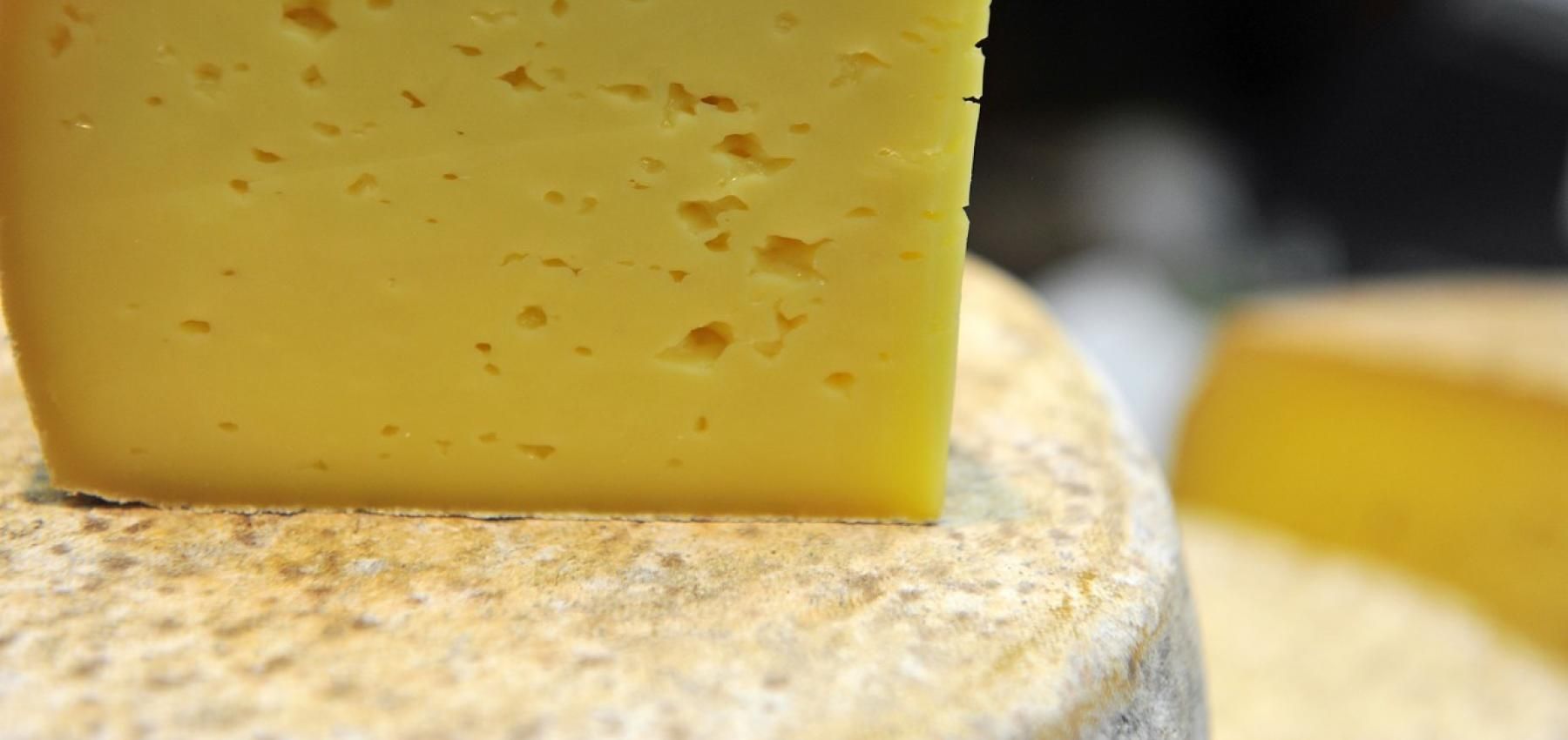 فوائد الجبن الرومى
