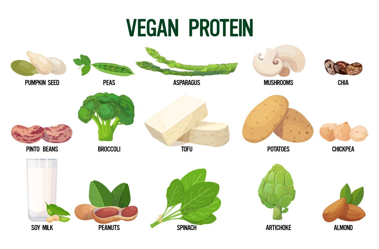بروتين الخضروات