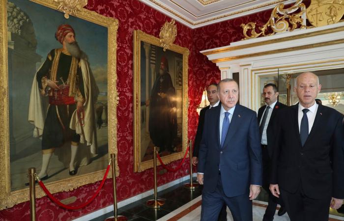 أردوغان يتسبب بمساءلة وزيري الدفاع والداخلية أمام برلمان تونس