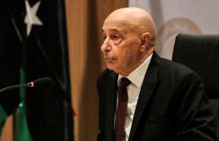 رئيس البرلمان الليبي: شعبنا لن يسمح بتدخلات تركيا
