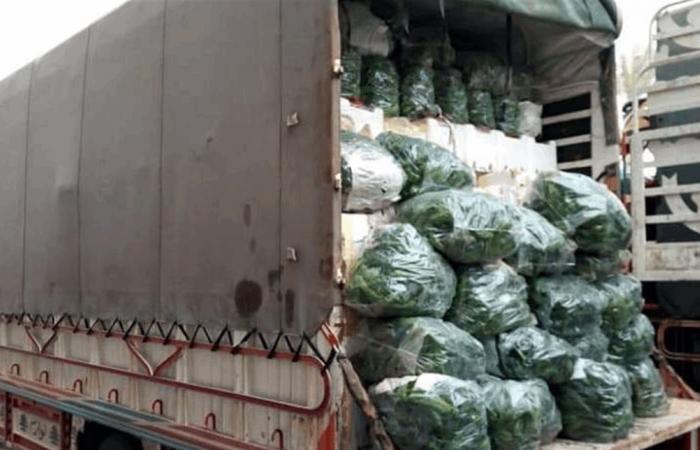 توقيف كمية كبيرة من المنتجات الزراعية السورية المهربة في طرابلس