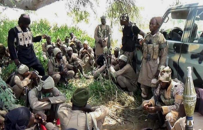 النيجر تؤكد مقتل 75 "إرهابيا" من بوكو حرام