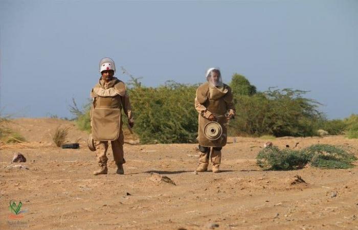حكومة اليمن تشيد بتمديد عمل مشروع "مسام" لنزع الألغام