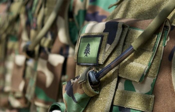 الجيش: تمارين تدريبية بين 10 و 12 الجاري في مزرعة حنوش حامات