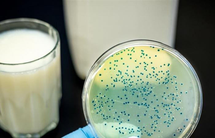 بكتيريا جديدة تجتاح الصين وتفزع العالم.. آلاف الإصابات بمرض البروسيلات