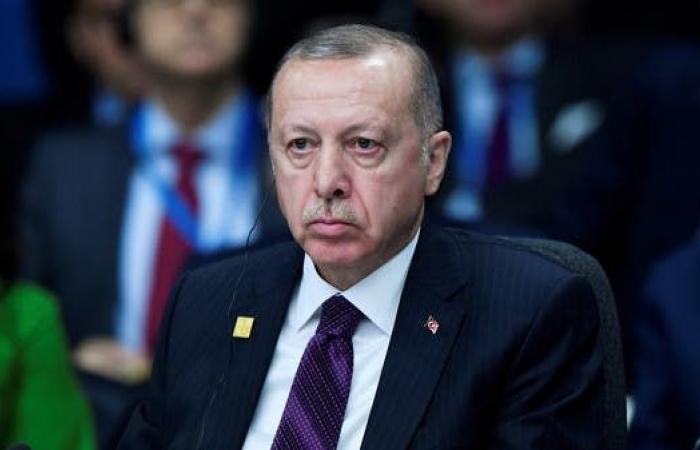 عميل تركي يسلم نفسه لشرطة فيينا.. ويفضح أردوغان