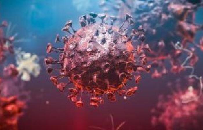 العلماء يفكون شفرة فيروسات كورونا ويتوصلون لنقاط الضعف