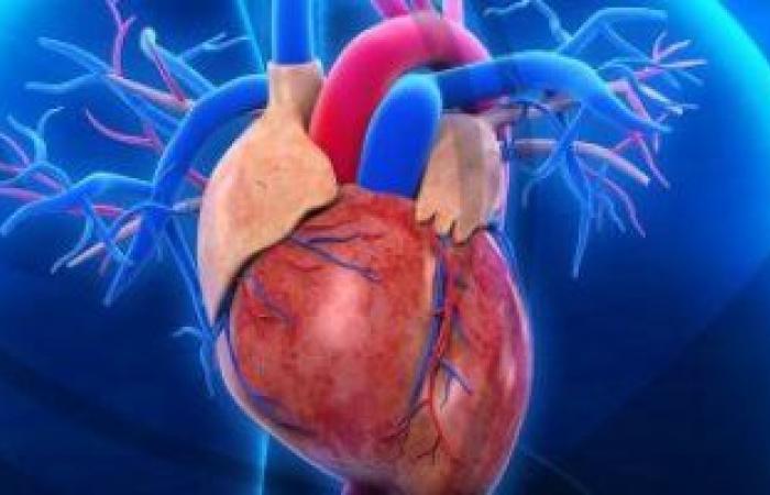 دراسة أمريكية: تلف القلب بين مرضى كورونا يزيد من فرص الوفاة 11 مرة