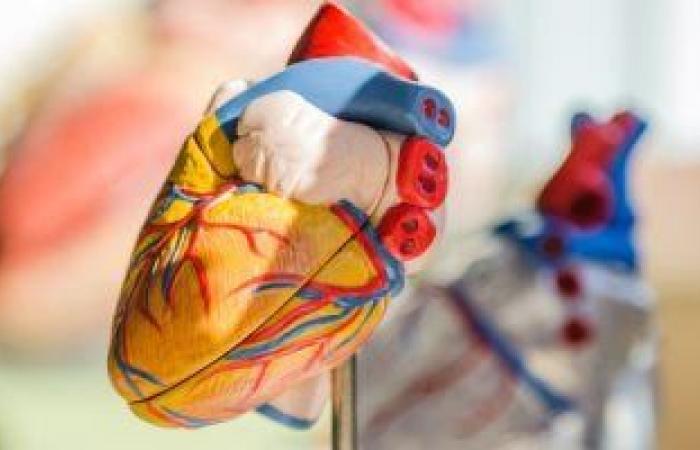 دراسة أمريكية: تلف القلب بين مرضى كورونا يزيد من فرص الوفاة 11 مرة