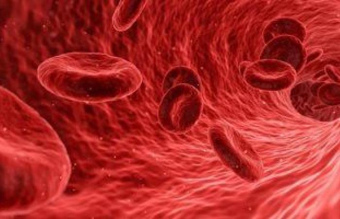 فيروس كورونا قد يستهدف النخاع ويمنع تكوين كريات الدم الحمراء الجديدة