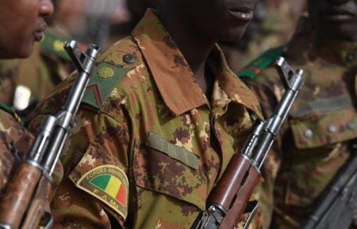 هجومان إرهابيان مزدوجان في مالي.. مقتل 3 جنود و5 متطرفين