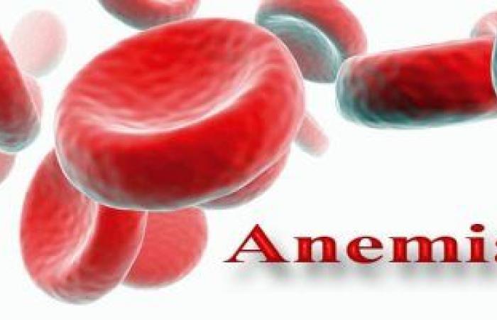 4 عناصر غذائية تزيد عدد خلايا الدم الحمراء وتعالج الأنيميا