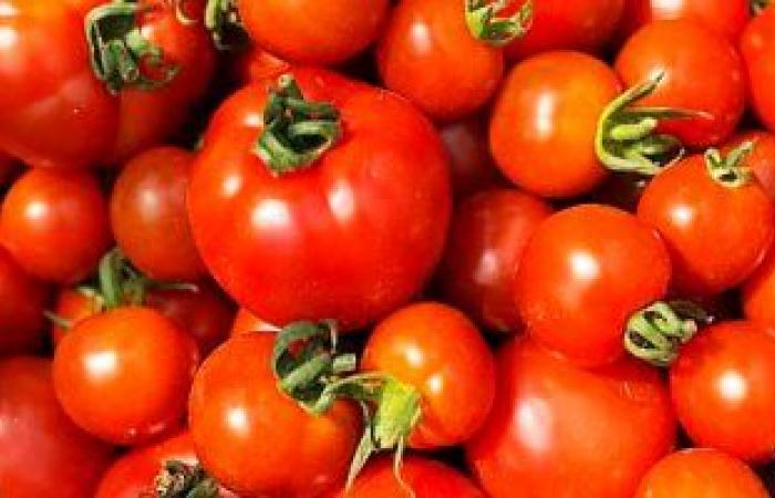 أطعمة صحية مفيدة للرجال والنساء فوق سن الأربعين.. أبرزها الطماطم والشوفان