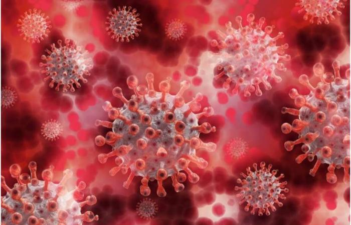دراسة تكشف بقاء فيروس كورونا فى الغبار الموجود بغرف المرضى لمدة شهر