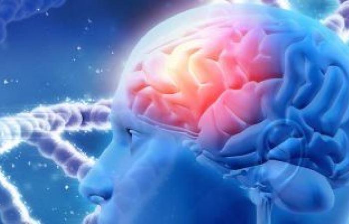 باحثون يتوصلون إلى تقنية علاجية جديدة لإزالة بروتين الزهايمر بالدماغ