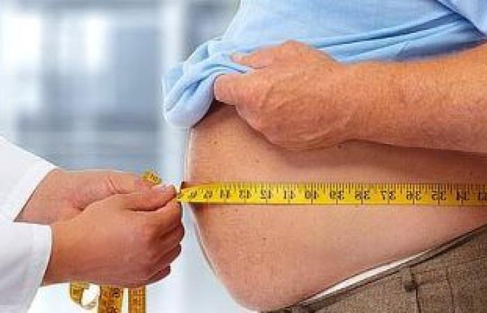 4 أنواع من الدهون تتركز في الجسم منها الصحى والضار .. تعرف عليها