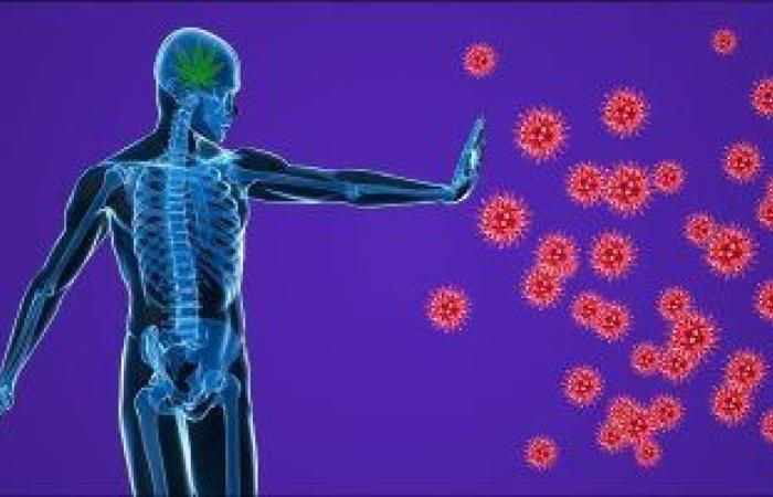 دراسة: الصيام يحميك من العدوى فى ظل جائحة فيروس كورونا