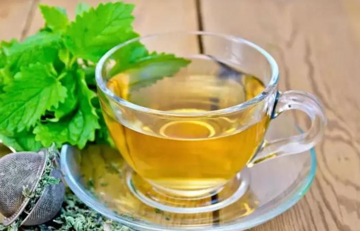 تحضير الشاى الأخضر بهذه الطريقة يفيد مرضى كورونا والسكرى.. دراسة توضح