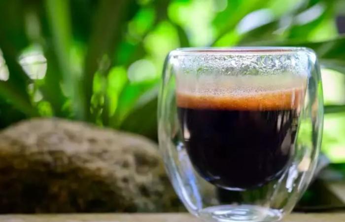 تناول كوبين من القهوة يوميًا يحميك من الإصابة بمرض الزهايمر
