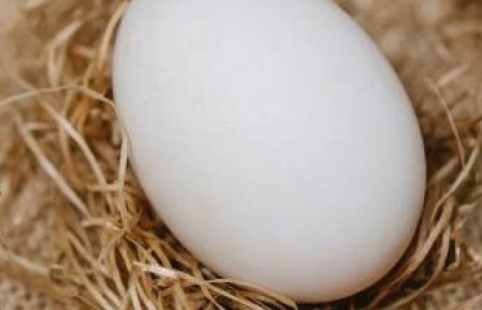 الصفار أهم من بياض البيض.. تعرف على القيمة الغذائية