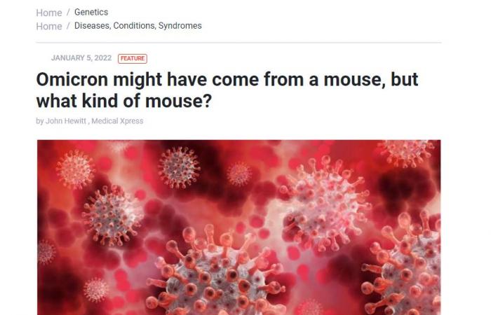 حقيقة متغير كورونا أوميكرون .. هل السبب فى انتشاره فأر؟