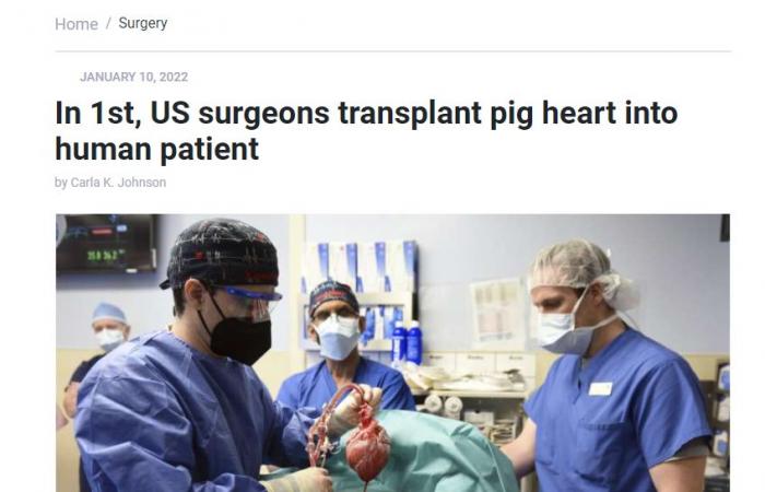 زراعة قلب خنزير لمريض بشرى فى أمريكا لأول مرة فى التاريخ.. اعرف التفاصيل