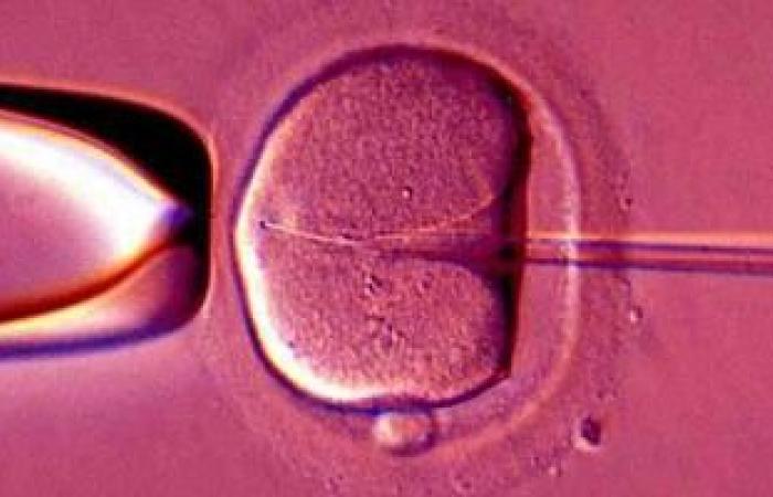هل الحمل بالتلقيح الصناعى أو الحقن المجهرى يخلقان أطفال أسوياء نفسيا؟