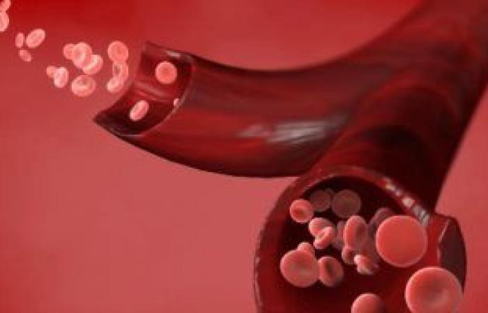 تعرف على فصيلة الدم الأكثر عرضة للإصابة بأمراض القلب