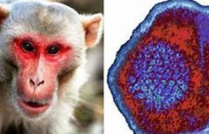 "CDC" يقيم استخدام لقاح الجدرى للوقاية من جدرى القرود للفئات المعرضة للخطر