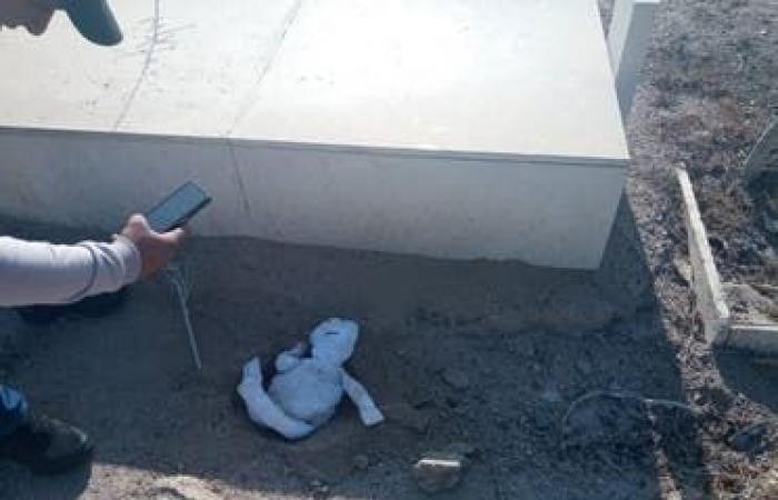 فيديو مفزع.. امرأة تضع "دمية مسحورة" جانب قبر بمحافظة أردنية