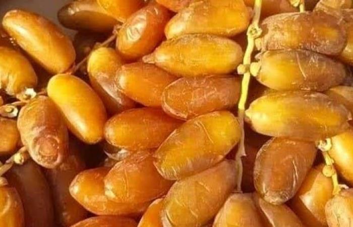 التمر في الجزائر هوية ومصدر للرزق.. وطموحات لتوسيع تصديره