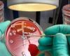 علماء يبحثون تقنية النانو للتغلب على مقاومة المضادات الحيوية