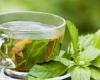 الشاي الأخضر.. الفوائد الصحية والاستخدامات والآثار الجانبية