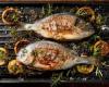 النظام الغذائي اليومي للأسماك يمكن أن يتسبب فى الإصابة بسرطان الجلد