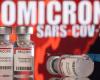 شركة أدوية يابانية تؤكد فاعلية الدواء الفموى ضد أوميكرون