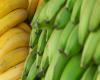 ما الفرق بين الموز الناضج والموز الأخضر؟
