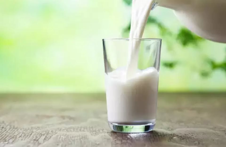 كوب الحليب