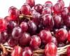 5 فوائد صحية لزيت بذور العنب.. أبرزها مضاد للالتهابات